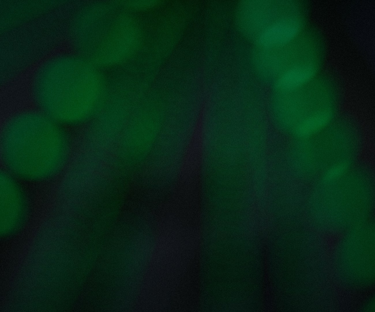 Luces verdes desenfocadas sobre fondo oscuro